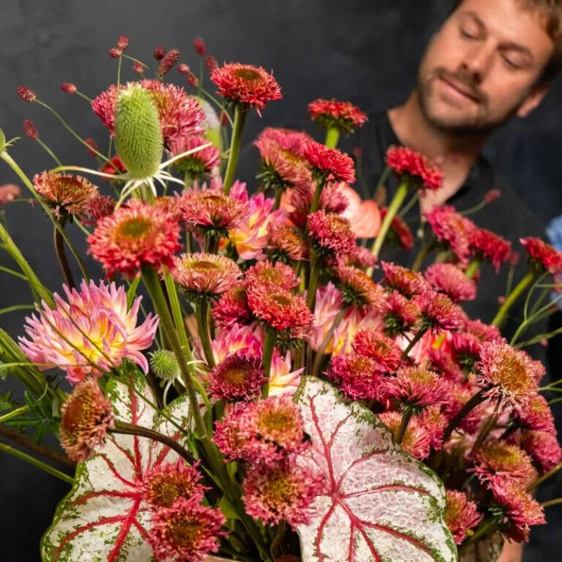 Alexander with Echinacea