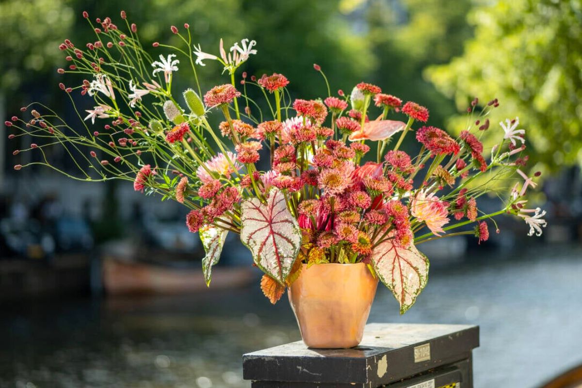 An arrangement with plants and Echinacea flowers