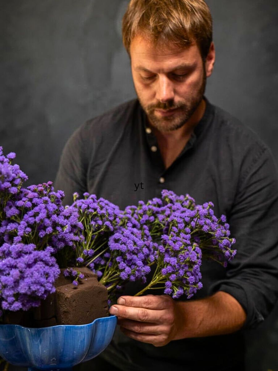 Alexander from AP Bloem With Ageratum JJ Strange Wonders