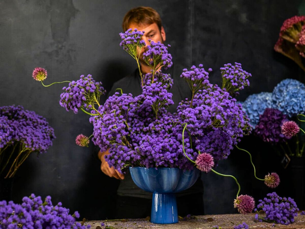 Strange Wonders Ageratum JJ by Ball Cut Flowers in a Arrangement by AP Bloem
