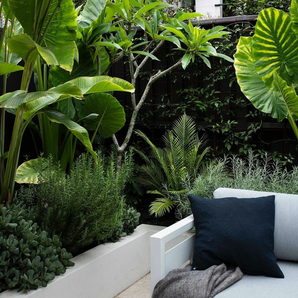 Tropical landscaping with patio corner Tropical landscaping with patio corner