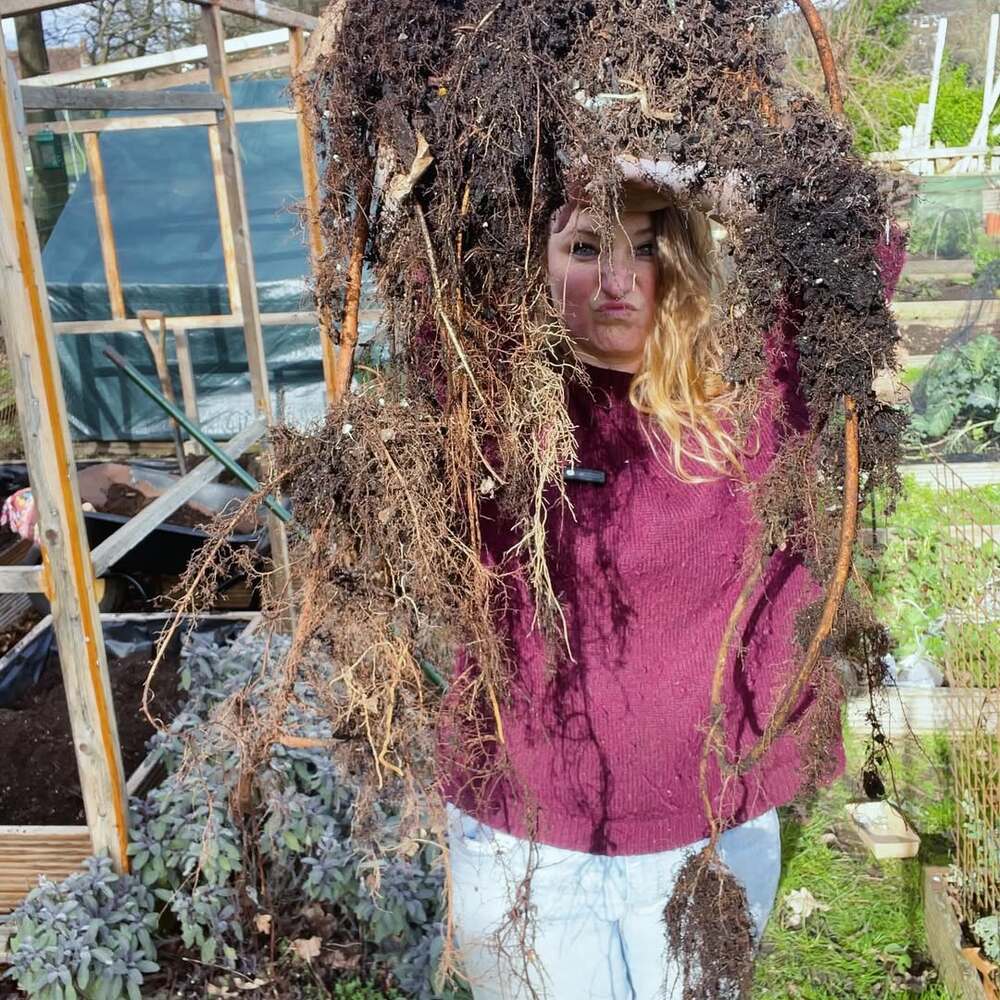 Woman holding large tangled tree roots Woman holding large tangled tree roots