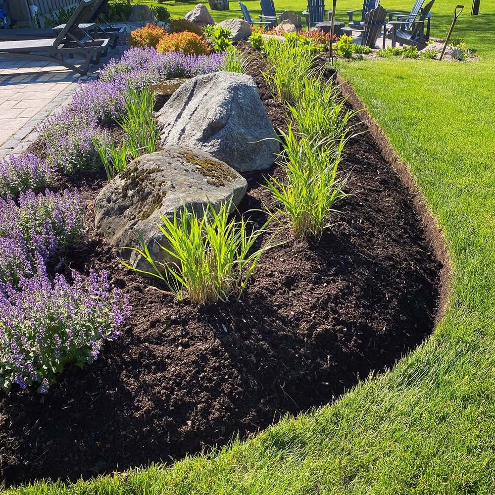 Well-defined garden bed with mulch Well-defined garden bed with mulch