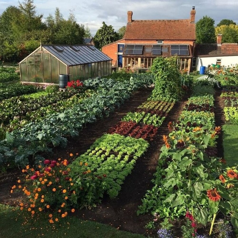 Colorful garden beds and greenhouse Colorful garden beds and greenhouse