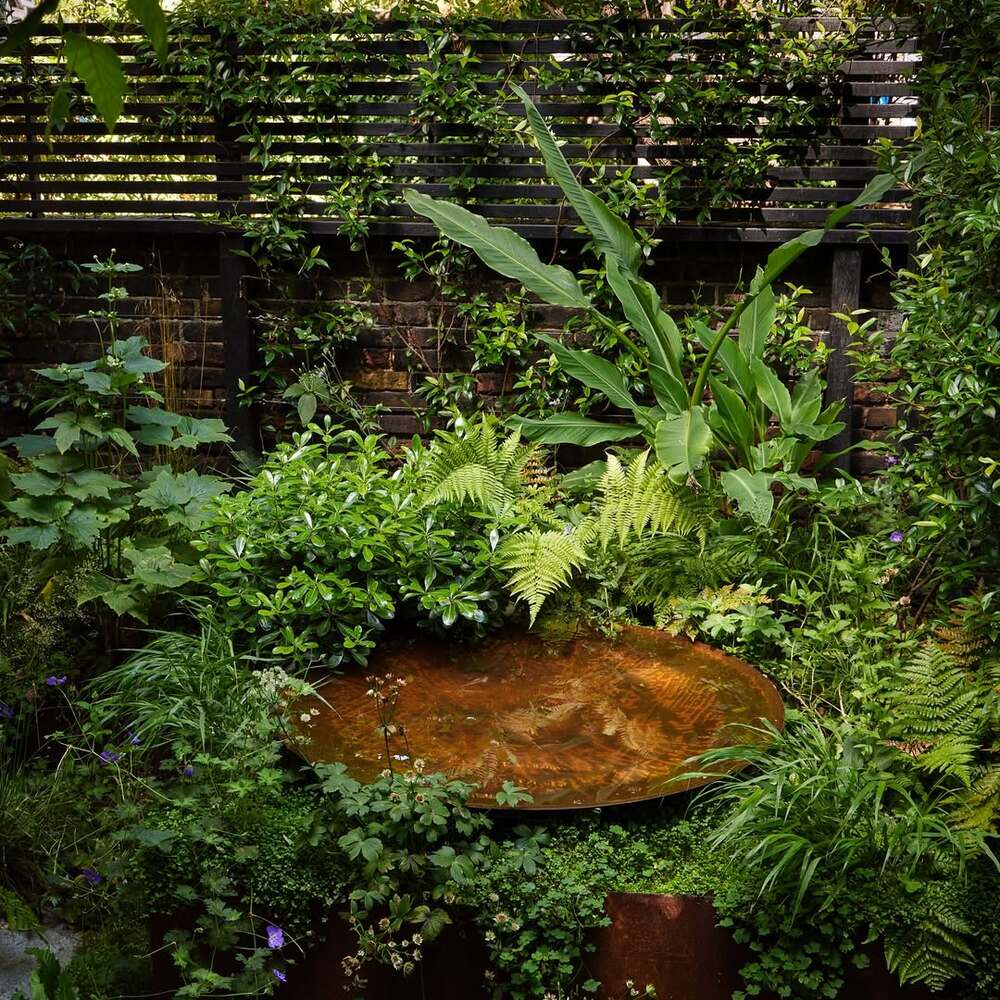 Lush garden with rustic water feature Lush garden with rustic water feature