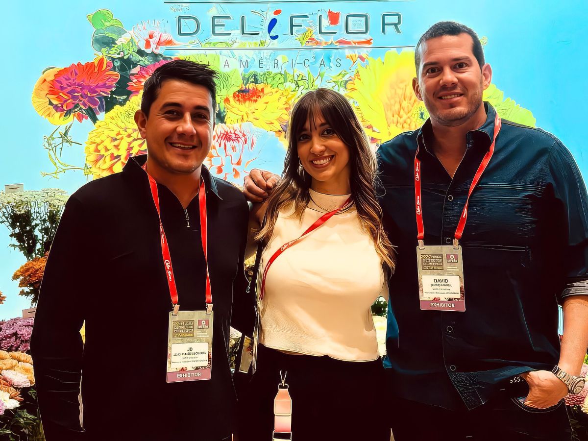 10 Questions to David Marin