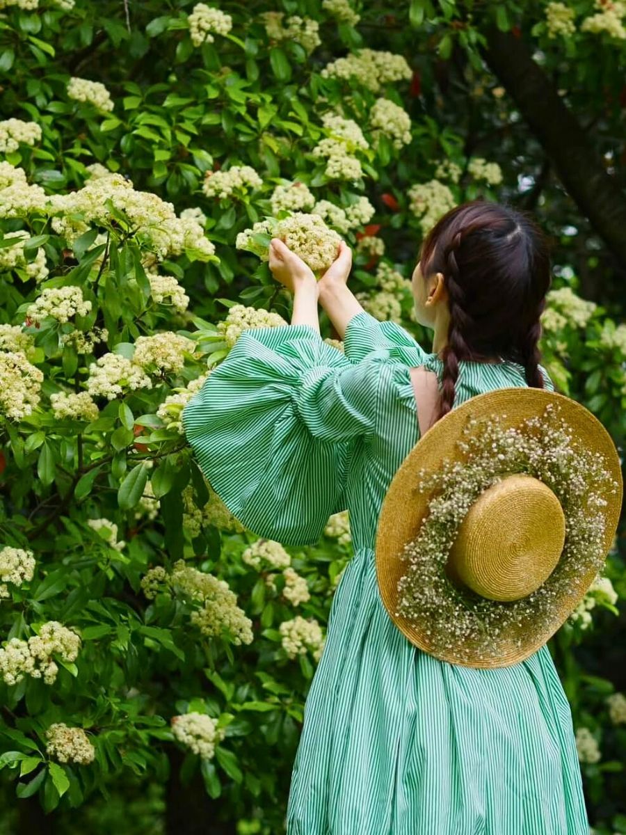 Picking flowers in nature Humans Are Losing Their Bond With Nature, but the Connection Can Be Restored - Thursd Article