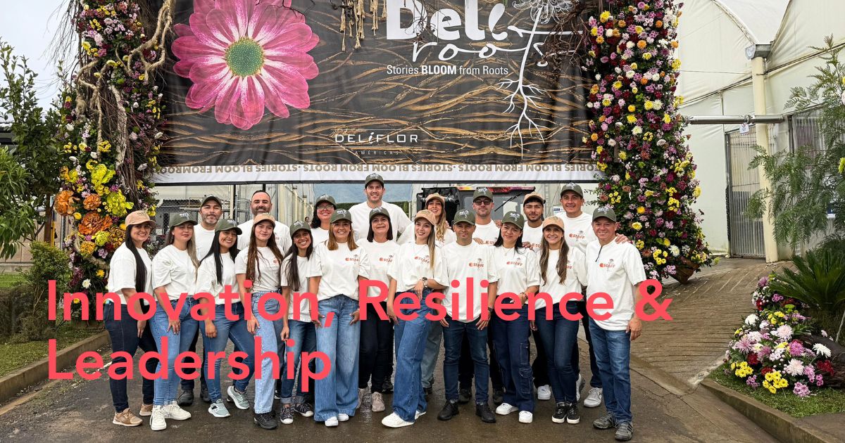 10 Questions to David Marin