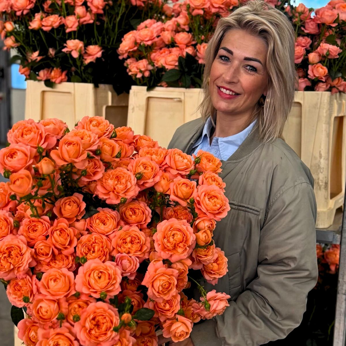 Josine From Voorn Spray Roses With the Beautiful Wild Miracle Roses