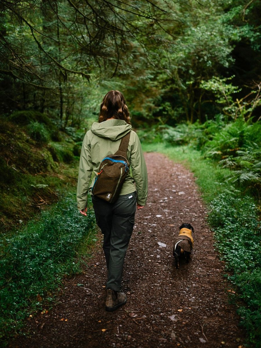 A forest stroll Humans Are Losing Their Bond With Nature, but the Connection Can Be Restored - Thursd Article