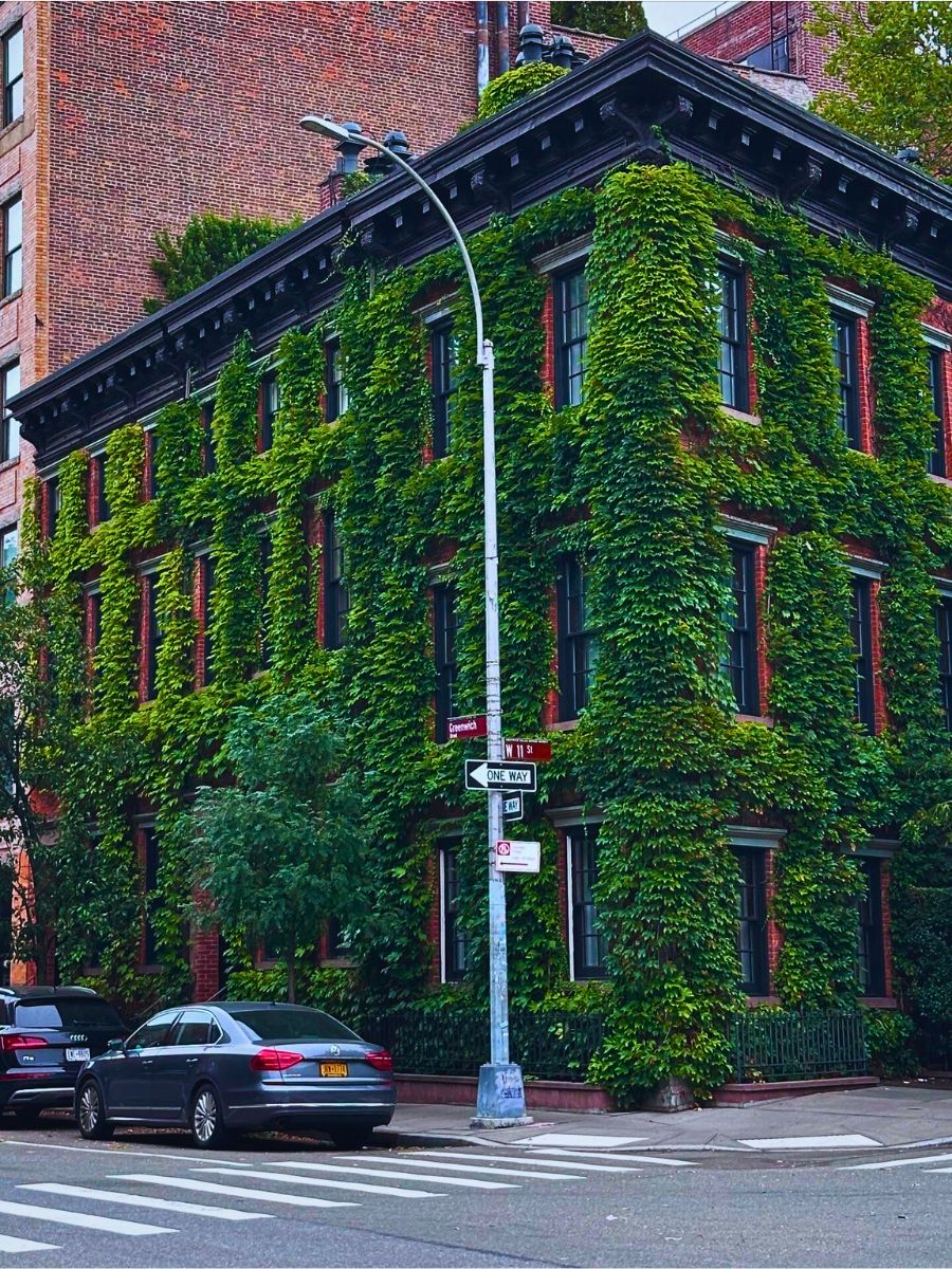 Biophilia in design Humans Are Losing Their Bond With Nature, but the Connection Can Be Restored - Thursd Article