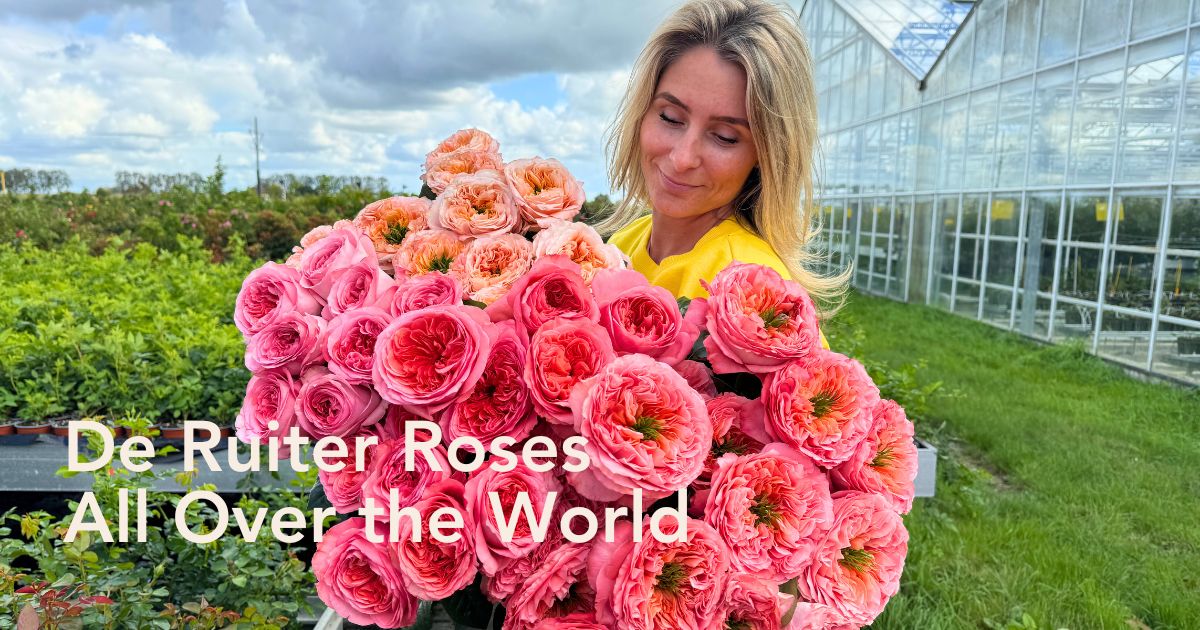 Lisa Casta With De Ruiter Roses in Amstelveen