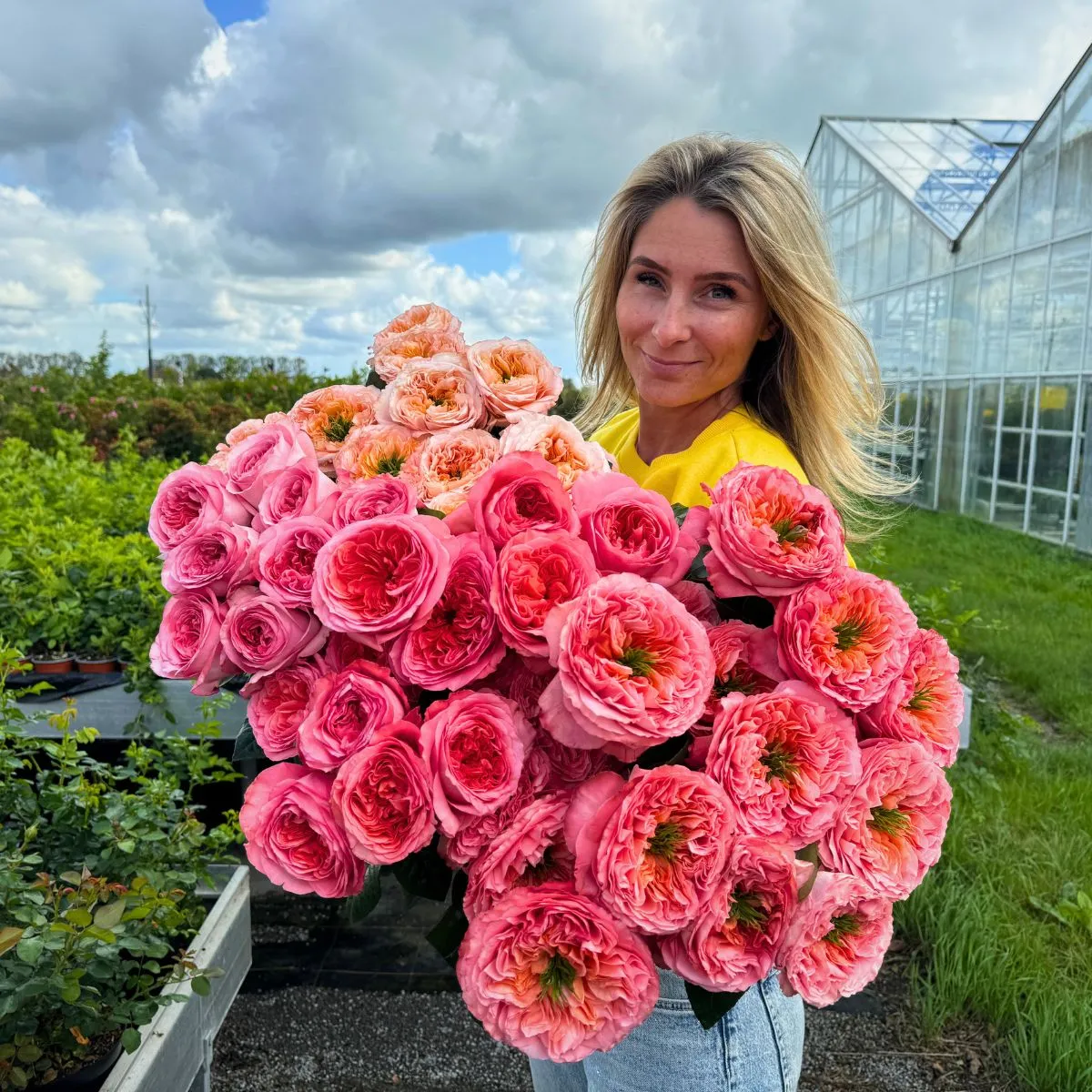 Travel-Blog-About-Roses-From-De-Ruiter-Innovations-in-Amstelveen-With-Lisa-Casta