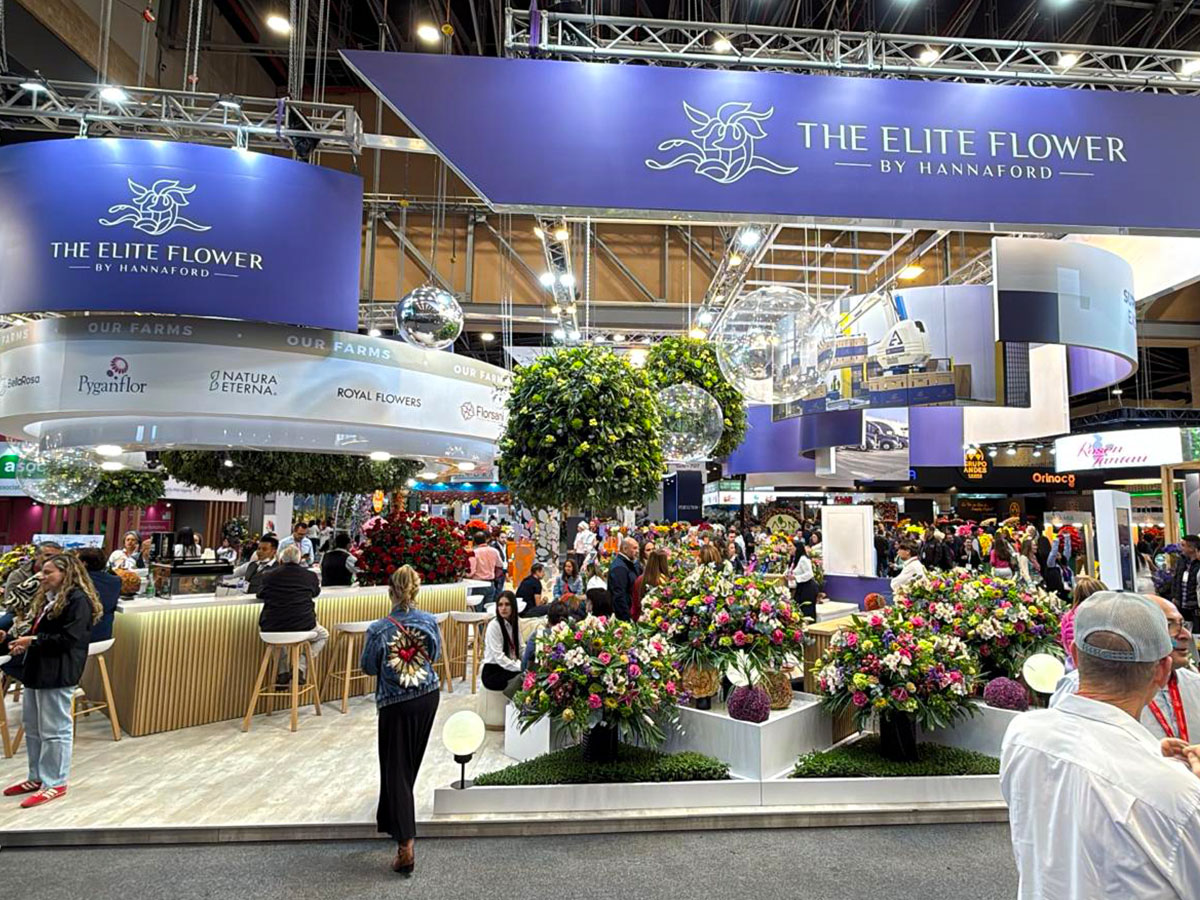 Proflora 2025 recap Elite Flower stand