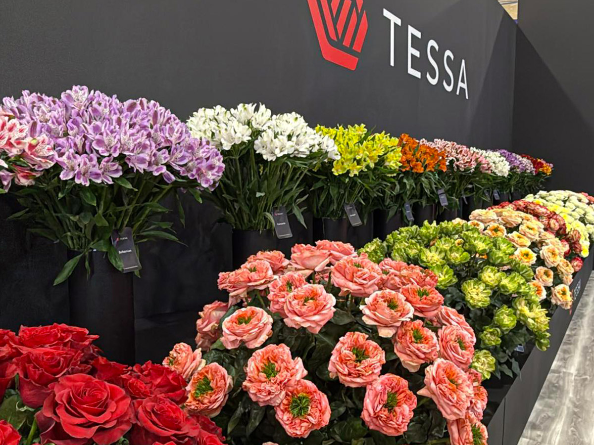 Proflora 2025 recap Tessa stand