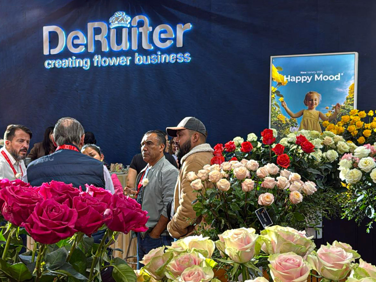 Proflora 2025 recap De Ruiter stand