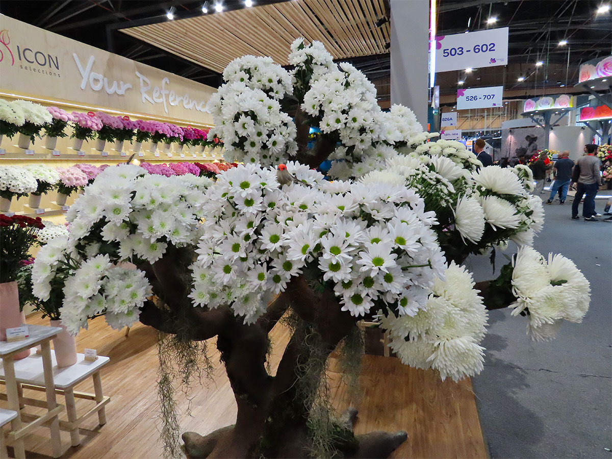 Proflora 2025 recap Icon Selections stand