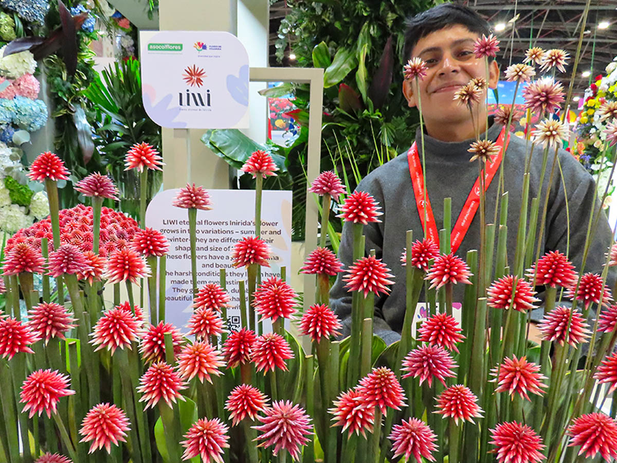 Proflora 2025 recap Linirida stand