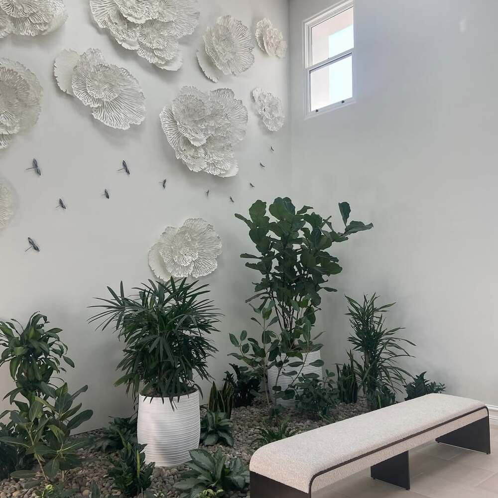Green plants around minimal bench