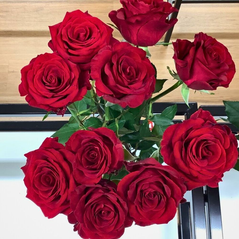 Rose Red Promise United Selections’ Perfect Roses to Capture the Spirit of the Fall Season in Autumnal Designs