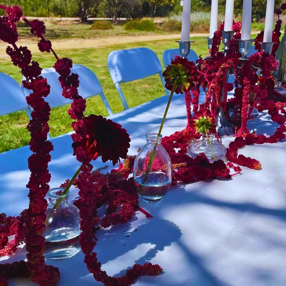 Event décor featuring Amaranthus caudatus The Love Lies Bleeding Plant Also Called Amaranthus Caudatus