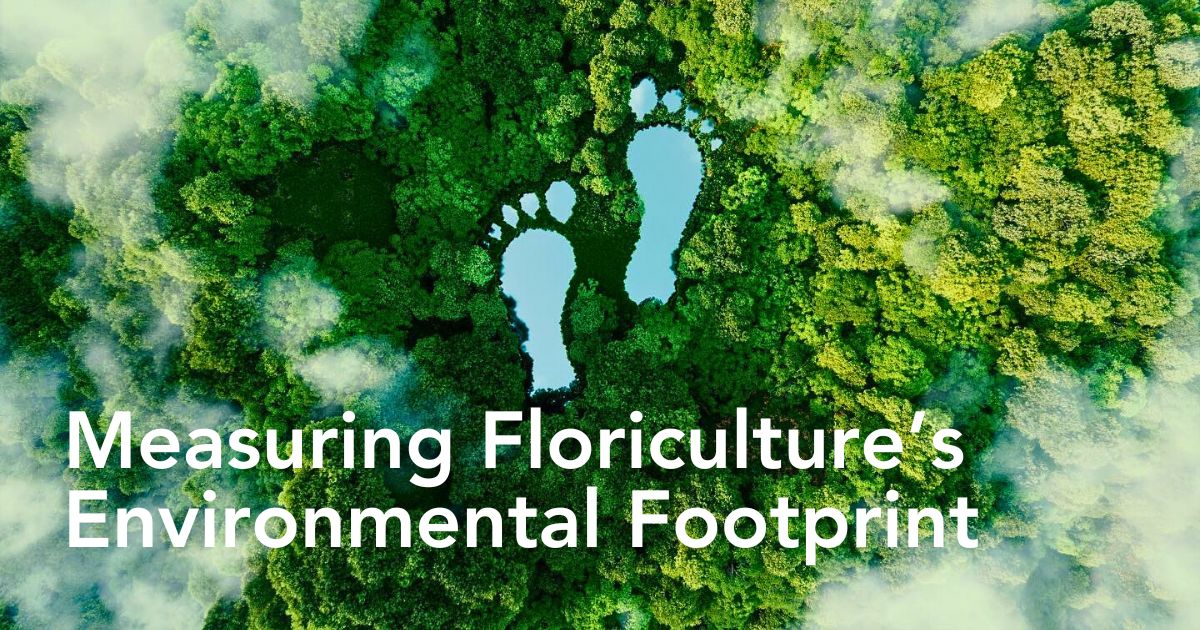 Greenhouse Sustainability and Florverde Sustainable Flowers’ Tool for Measuring Environmental Footprints in Line With the EU Green Deal