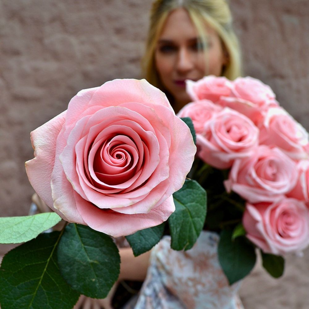 Roses from Tessa Greenhouse Sustainability and Florverde Sustainable Flowers’ Tool for Measuring Environmental Footprints in Line With the EU Green Deal