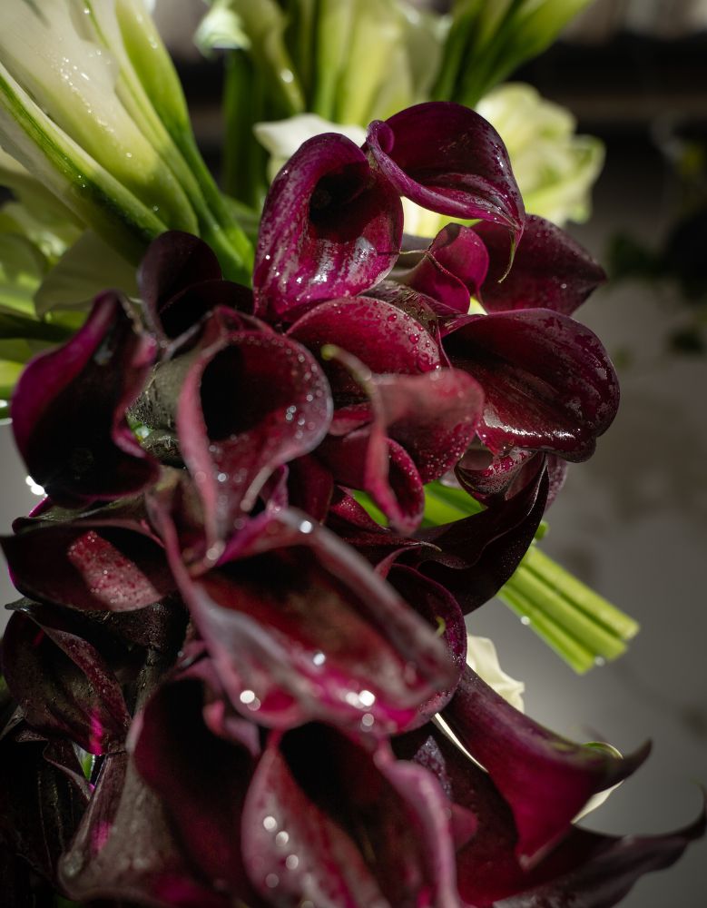 Calla design from Joseph Massie from Future Flowers and Decorum Calla design from Joseph Massie from Future Flowers and Decorum