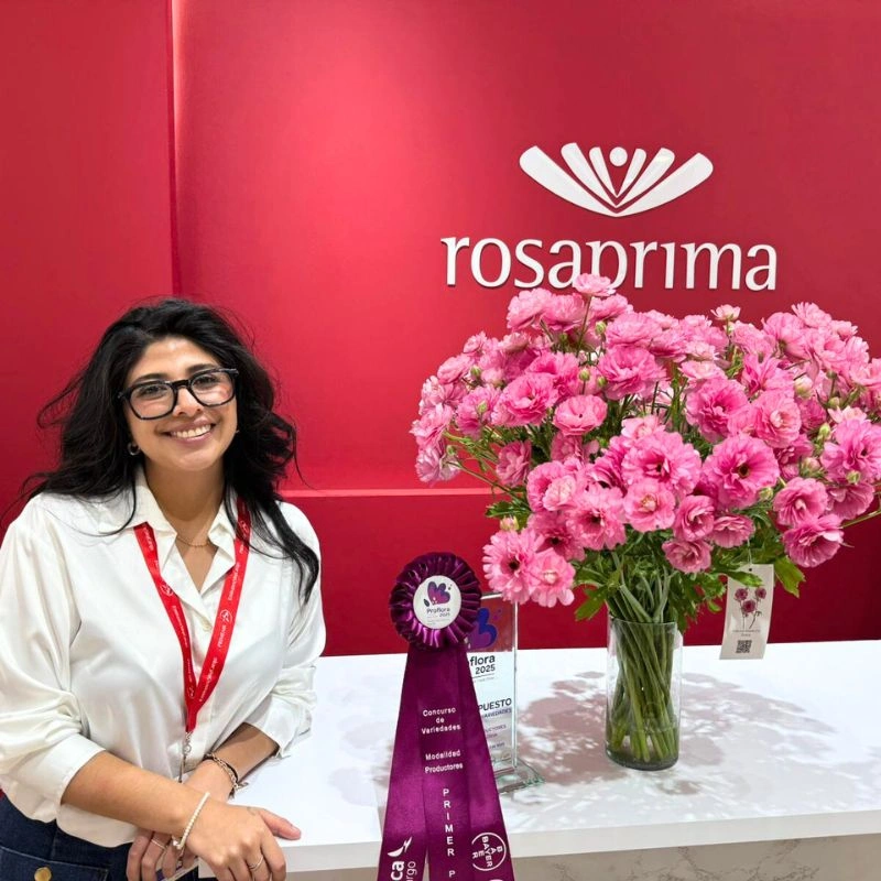 Floraprima Moderna Dolce