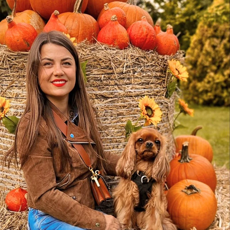 National Pumpkin Day Celebrates Autumn's Iconic Gourd
