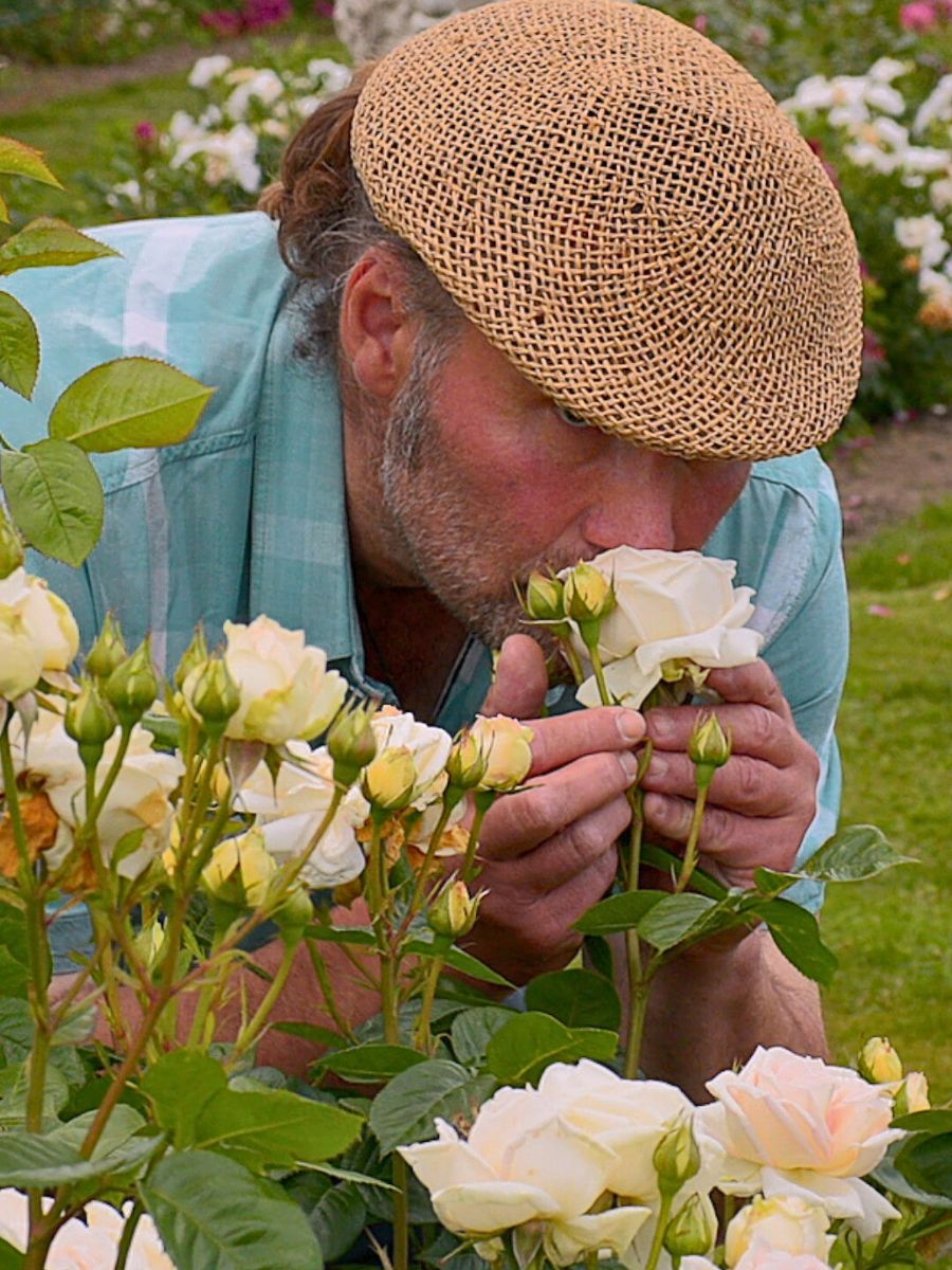 The soothing floral scent The Many Positive Aspects of Plants and Flowers Mean We Should Pay More Attention to Them.
