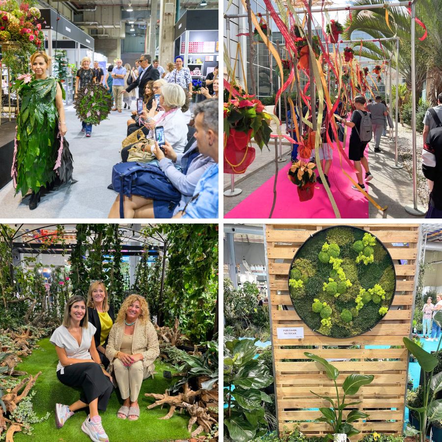 Moments during Iberflora