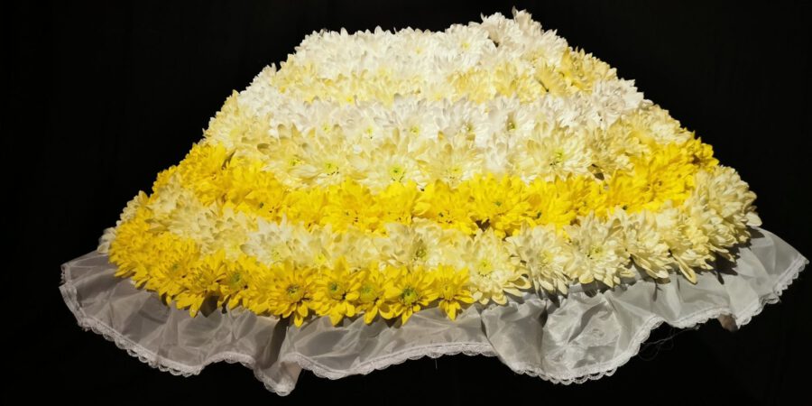 Sarah Willemart  Pina Colada Chrysanthemum - on Thursd Petticoat 3