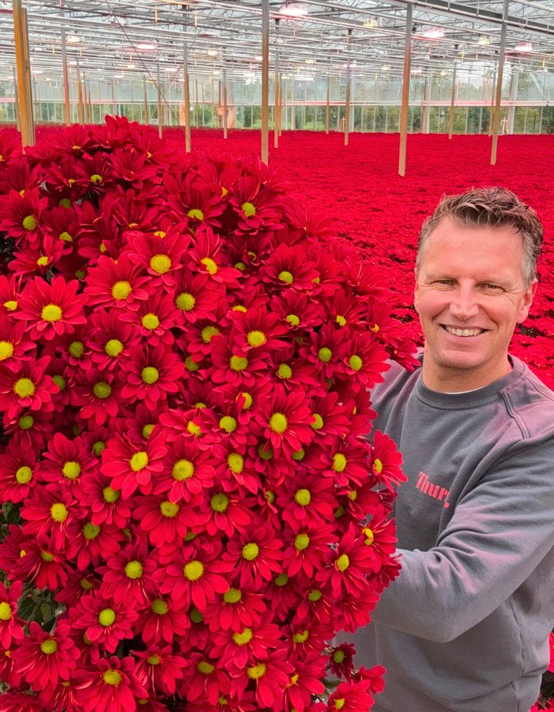 Peter van Delft with Chrysanthemum Bontempi Peter van Delft with Chrysanthemum Bontempi