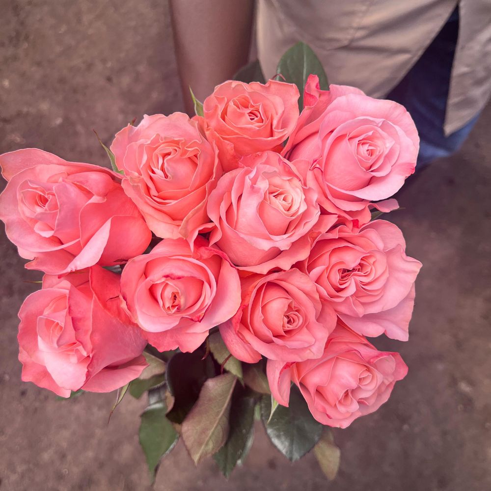Rose Be Sweet Rose Be Sweet