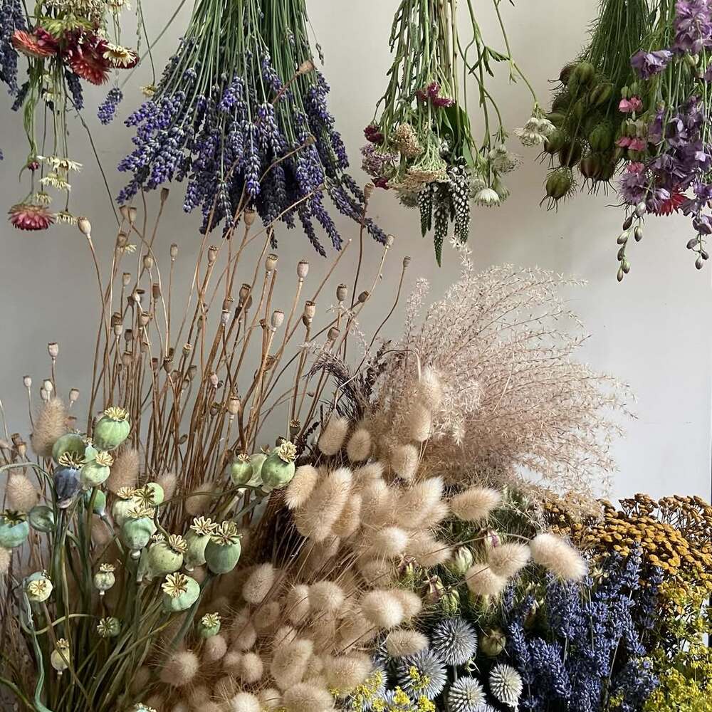 Variety of colorful dried botanicals Variety of colorful dried botanicals