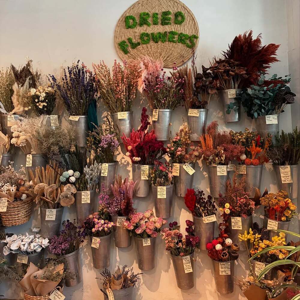 Retail wall of dried botanicals Retail wall of dried botanicals
