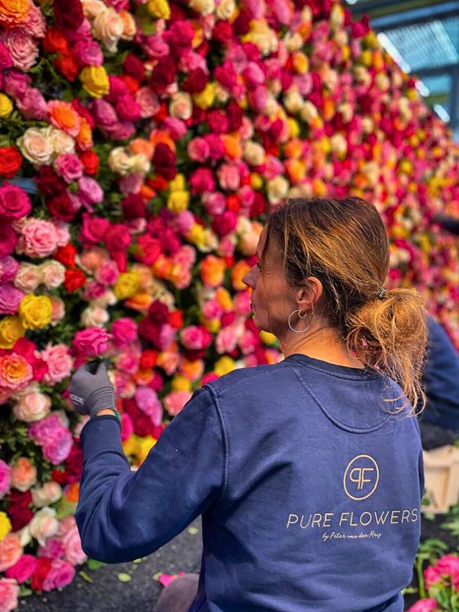 The IFTF A Floricultural Extravaganza Awaits You at the International Floriculture Trade Fair (IFTF) - Thursd Article