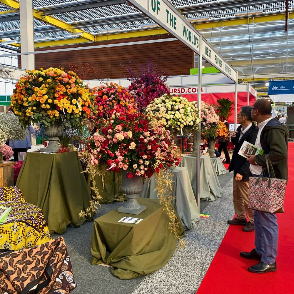 Visitors at the IFTF A Floricultural Extravaganza Awaits You at IFTF