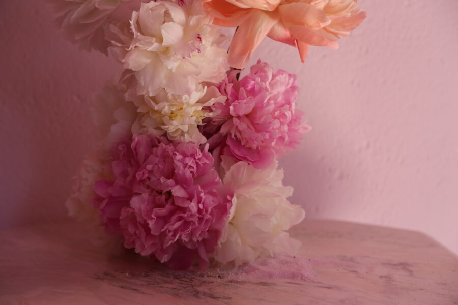 Life Keeps Blooming - Poppykalas on thursd - scorched earth peonies