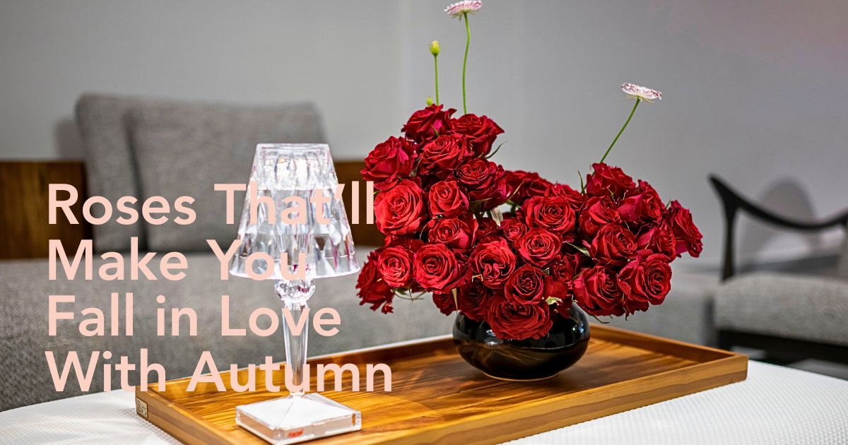 United Selections’ Perfect Roses to Capture the Spirit of the Fall Season in Autumnal Designs - Thursd Article