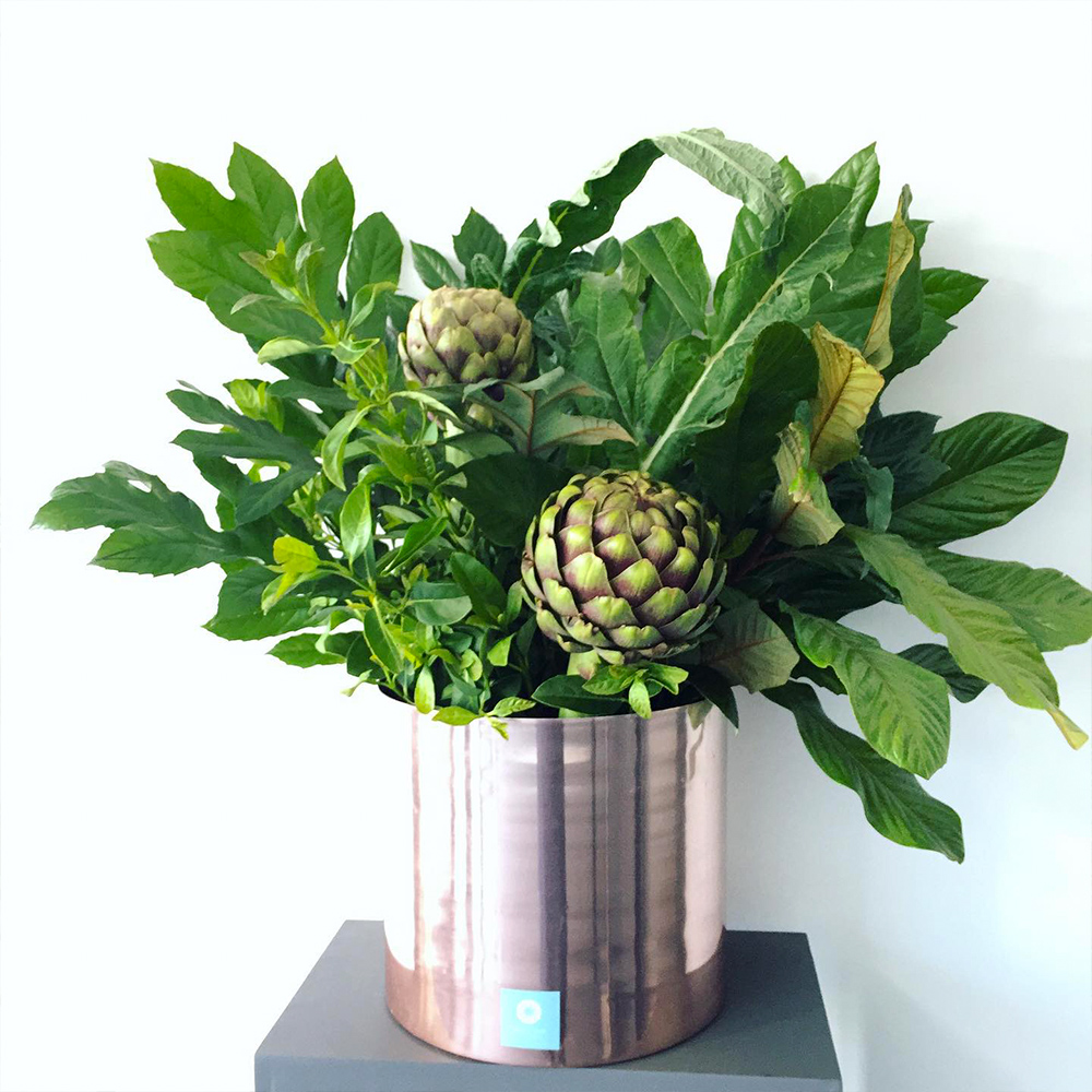 Viburnum bouquet by frenchblueflowers Viburnum bouquet by frenchblueflowers