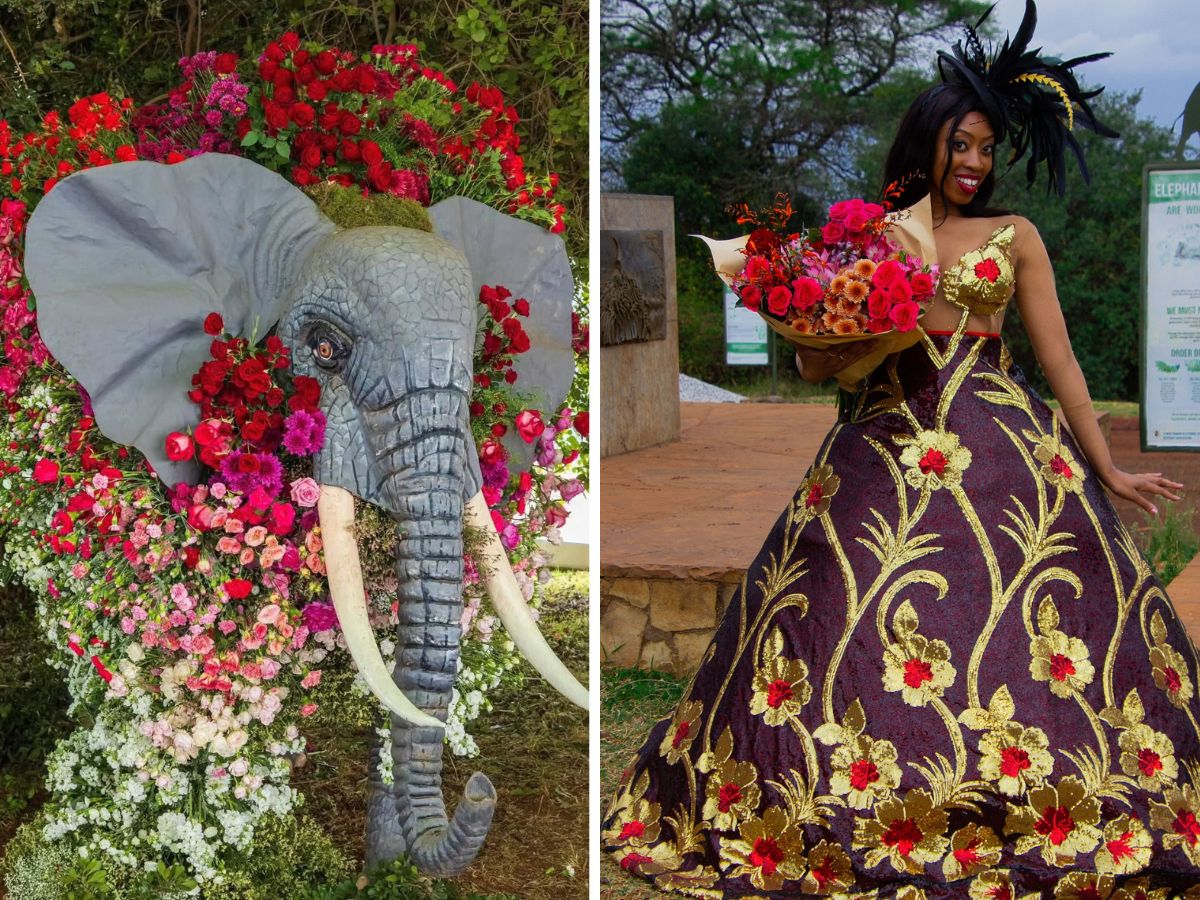 Kenya Flower Festival Flowers in the Wild