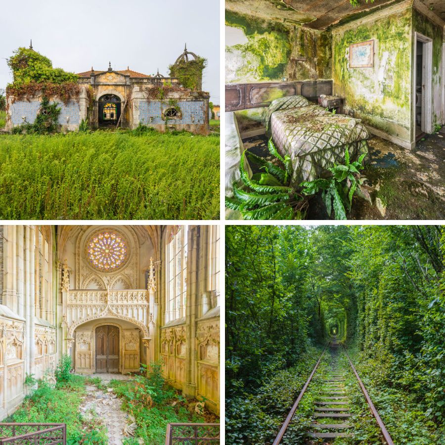 Abandoned places with plants growing Abandoned places with plants growing