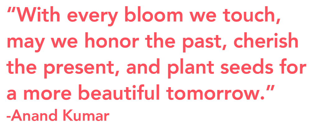 Quote by Anand Kumar - The Flower Sutra Quote by Anand Kumar - The Flower Sutra