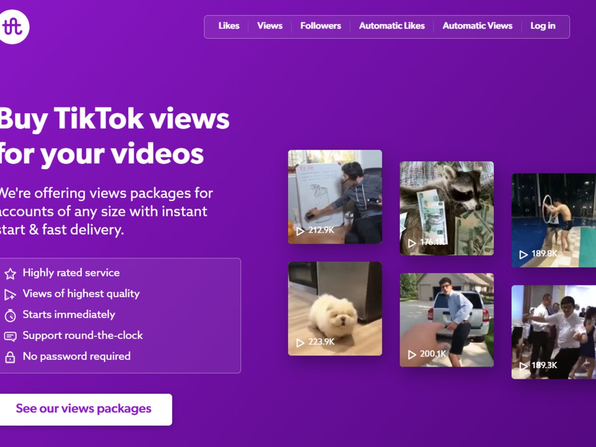 Buy TikTok views service homepage.