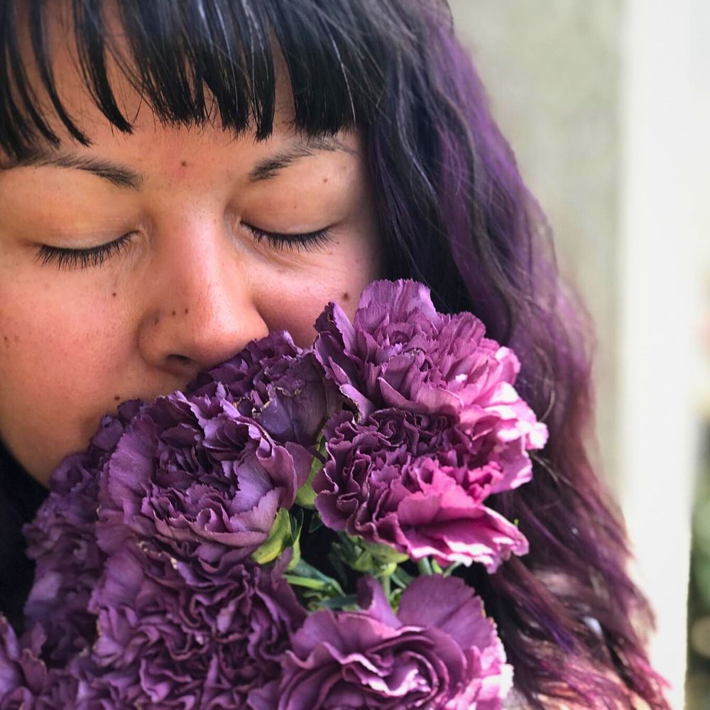 Carnations lavender like colors of these carnation flowers; its firmly represents the ones born in the month of November and December