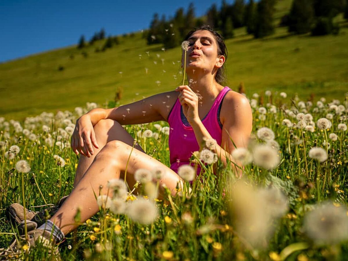 Blowing dandelions blowing dandelions