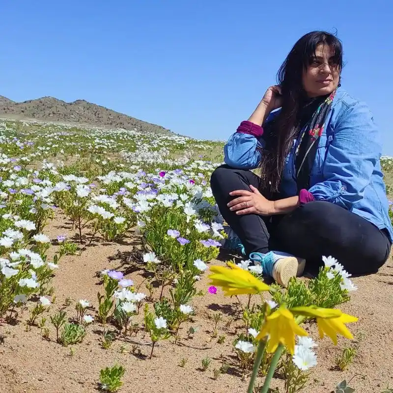 Atacama’s Rare Floral Spectacle When the World’s Driest Desert Comes Into Bloom - Thursd Article