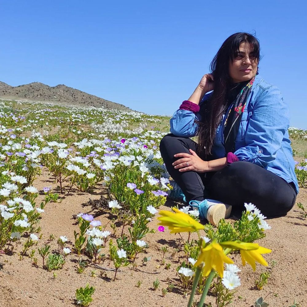 Desert Wildflowers Atacama’s Rare Floral Spectacle When the World’s Driest Desert Comes Into Bloom - Thursd Article